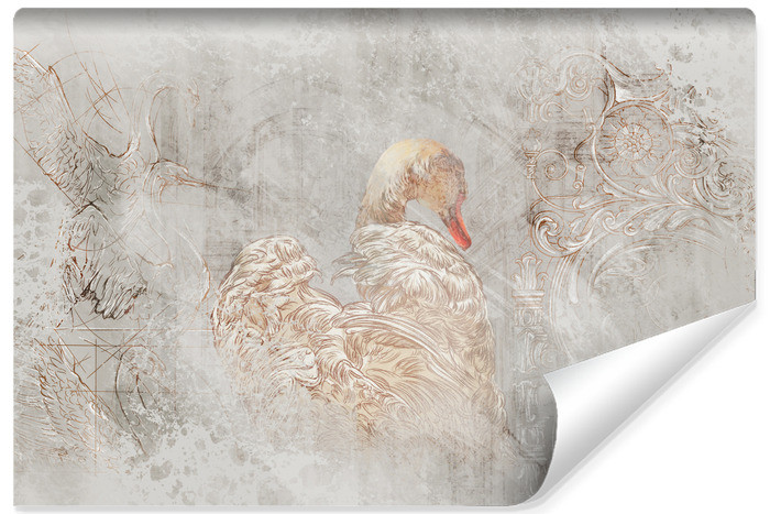 Fototapeta Abstrakcyjny Łabędź Na Betonie 90x60cm