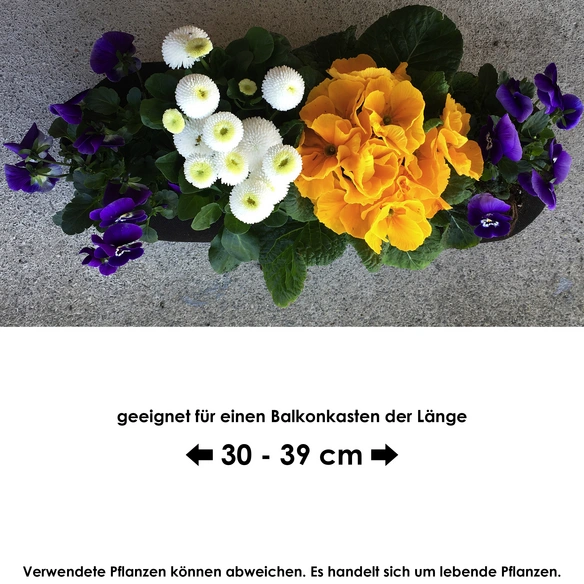 Blumenbag Frühling, Blütenfarbe: gemischt, min. Länge: 50 cm