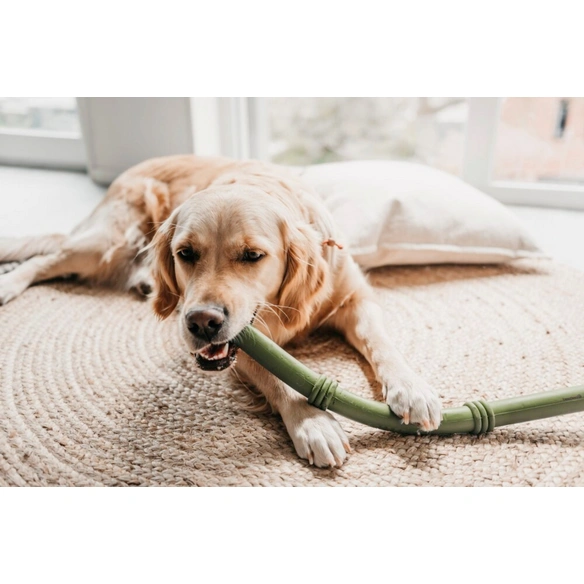 Hundespielzeug »Sumo Fit Stick«, grün, Gummi