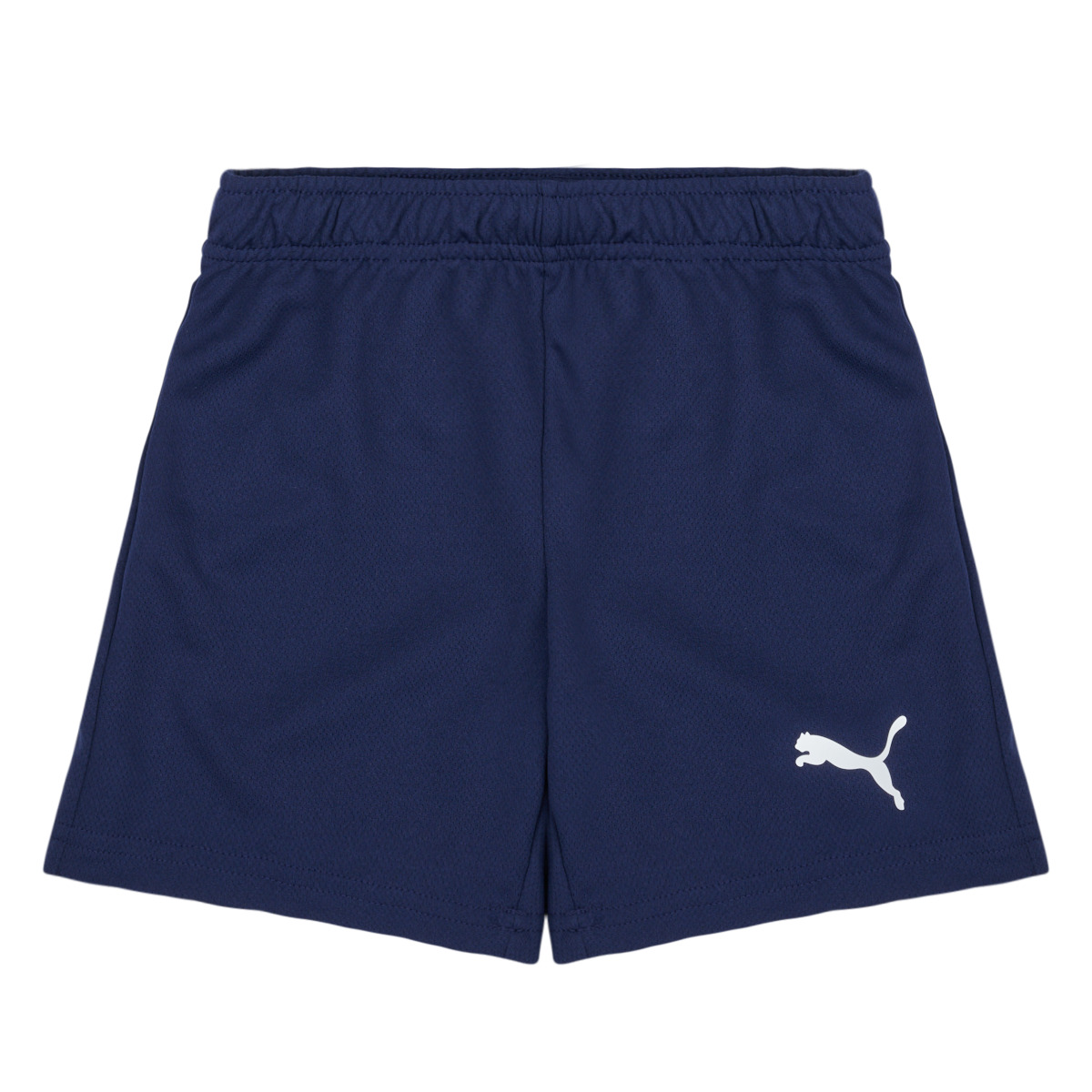 Puma - TEAMRISE SHORT - Marine