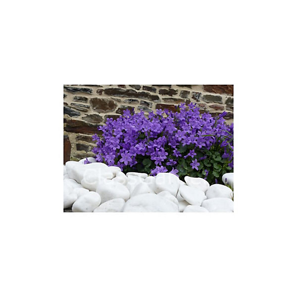 Galet Blanc Brillant 40-60 - VRAC Big-Bag - 500 kg