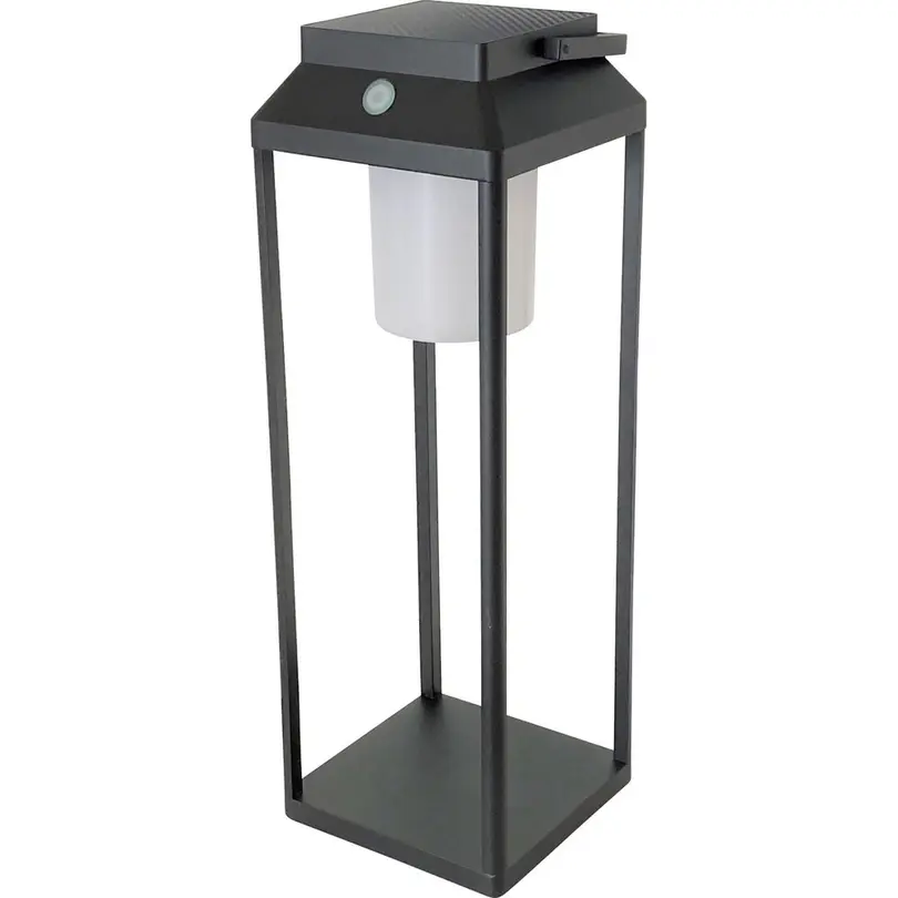 Outdoorleuchte Dual Tec 45
