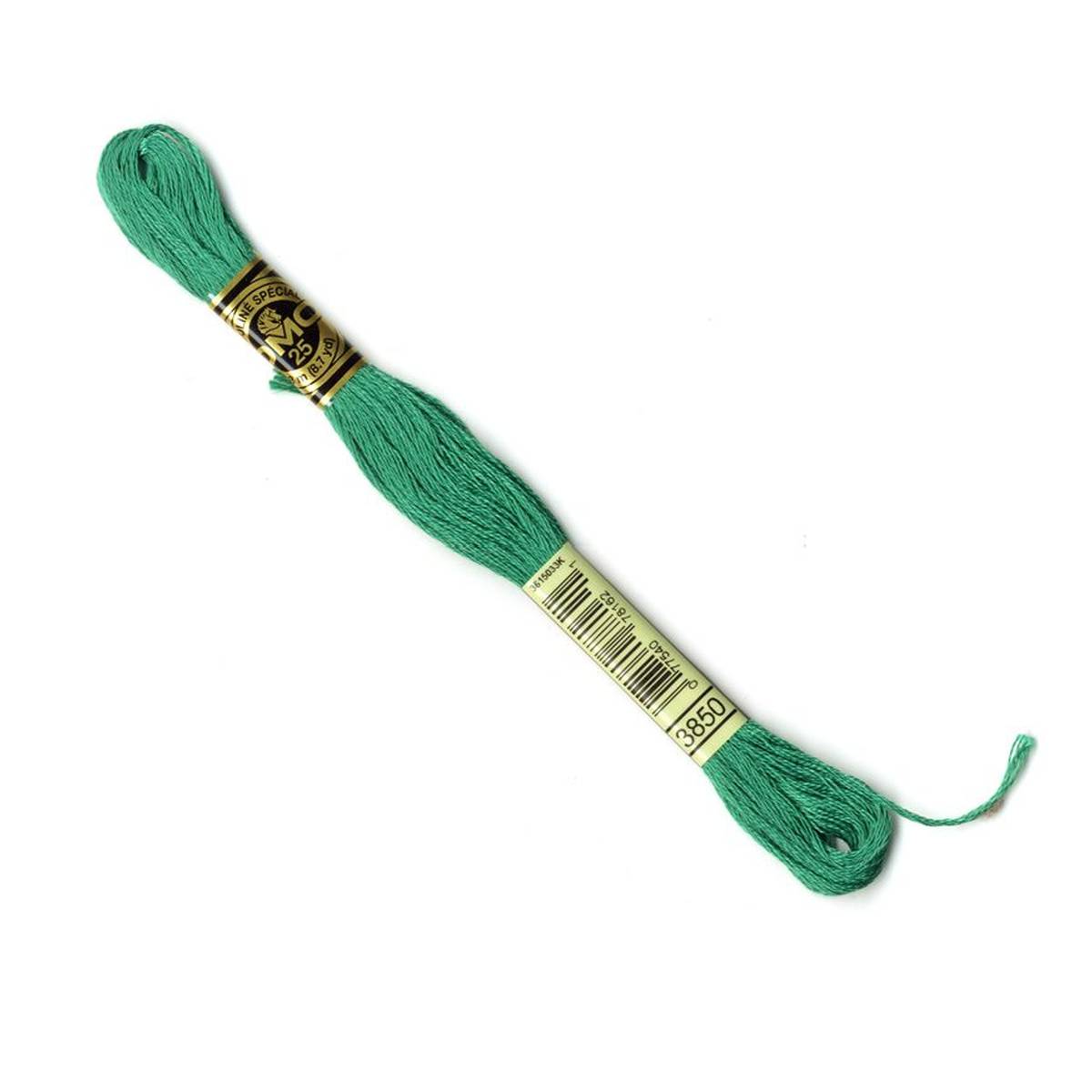 DMC Green Mouline Special 25 Cotton Thread 8m (3850)