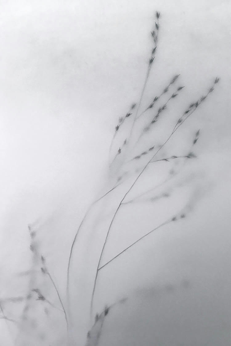 LE DÉBUT - Photographie d'art de Zoé Pignolet 40x60 cm sur alu