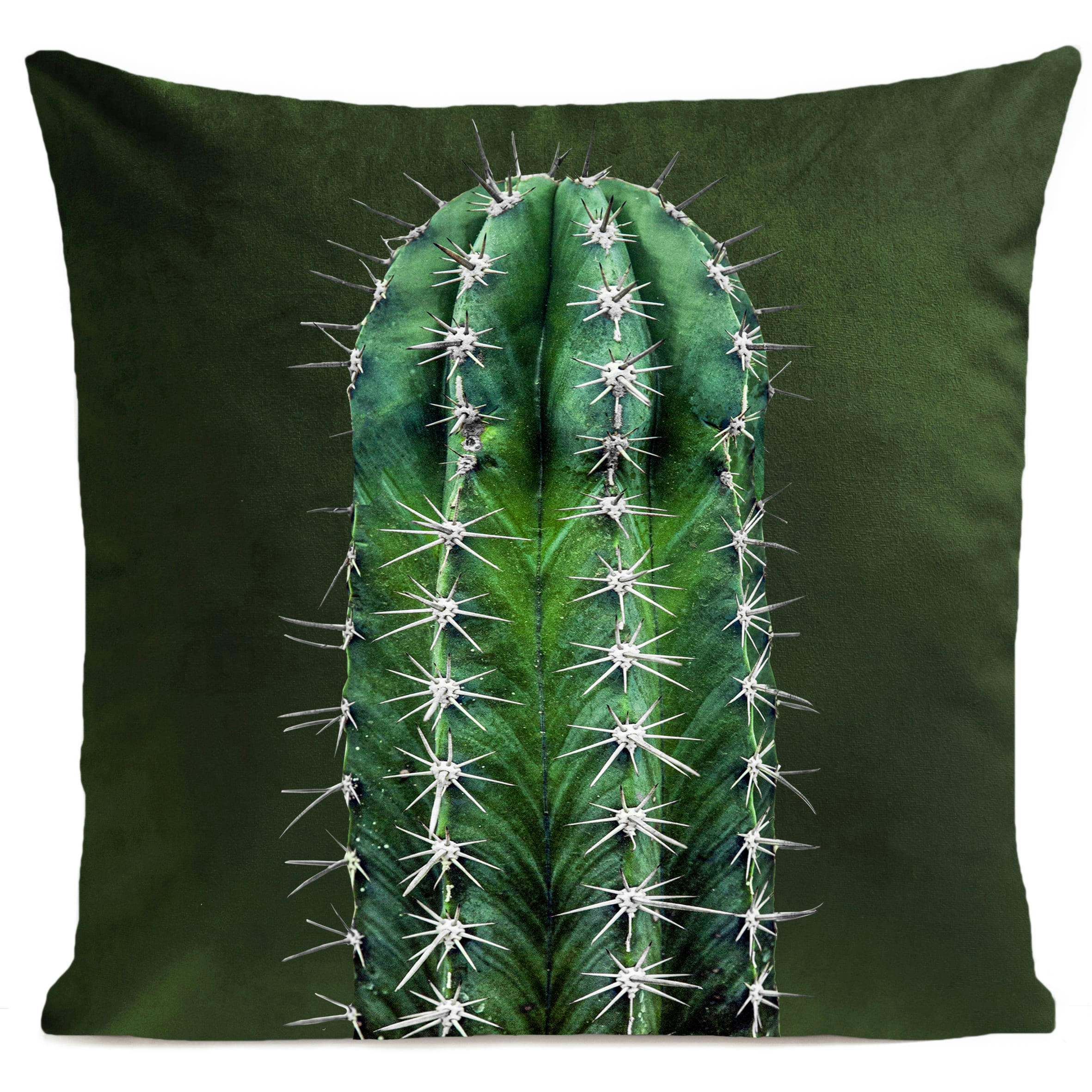 - Coussin tropical cactus vert suédine 40x40cm