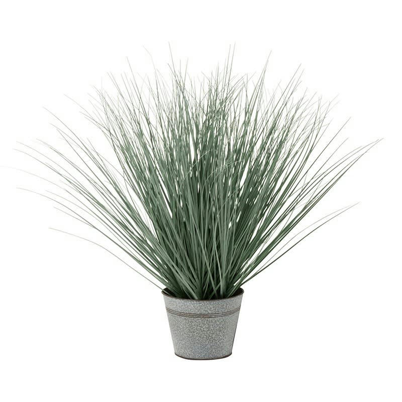 - Herbes en pot métal plastique bleu/vert H66cm
