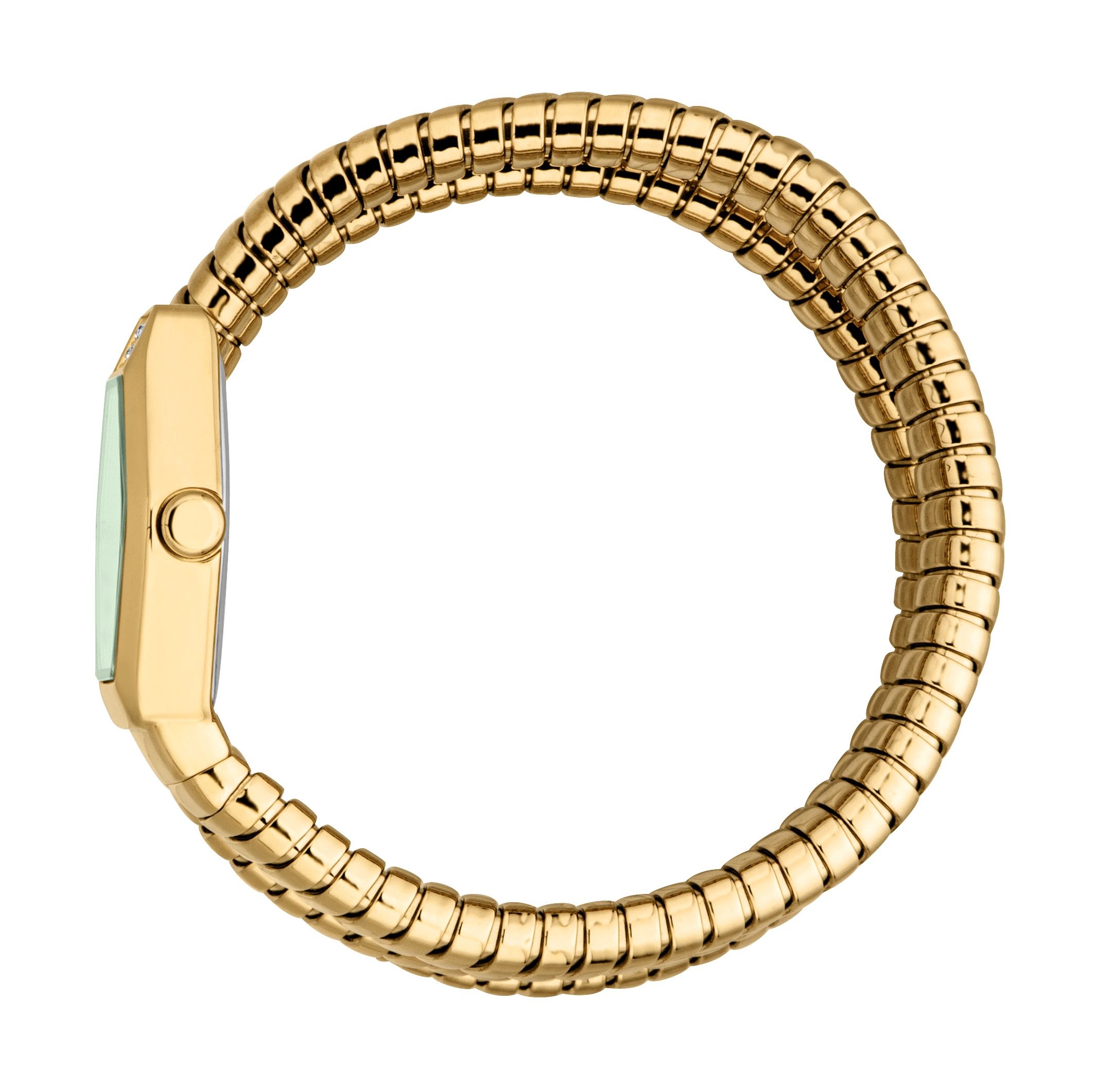 Just Cavalli Women's Snake 316L Stainless Steel Gold Analogue Watch One Size