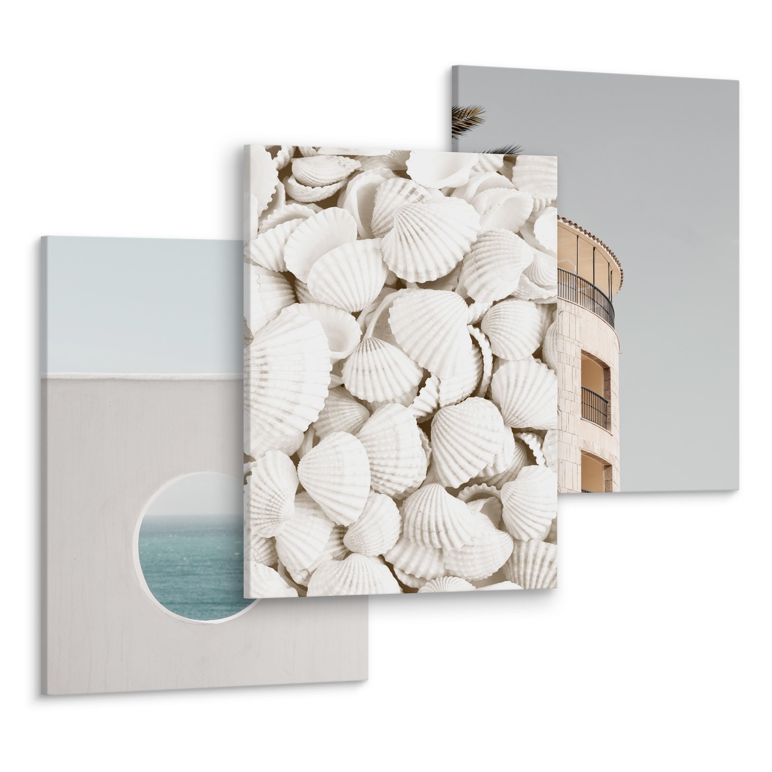 Obrazy Morze Muszle Architektura 3D
