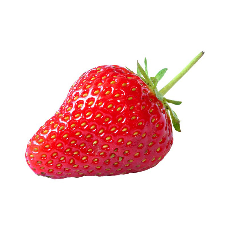 Fraisier Charlotte en pot