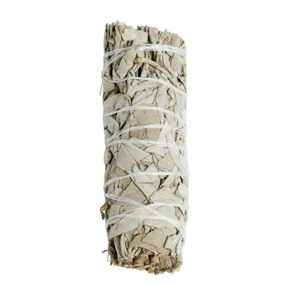Sauge blanche Ø2,5xL10cm