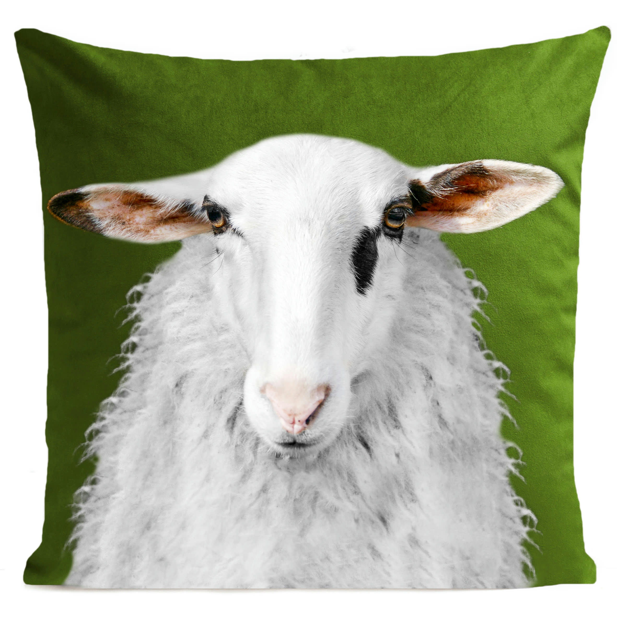 - Coussin campagne mouton suédine vert 40x40cm