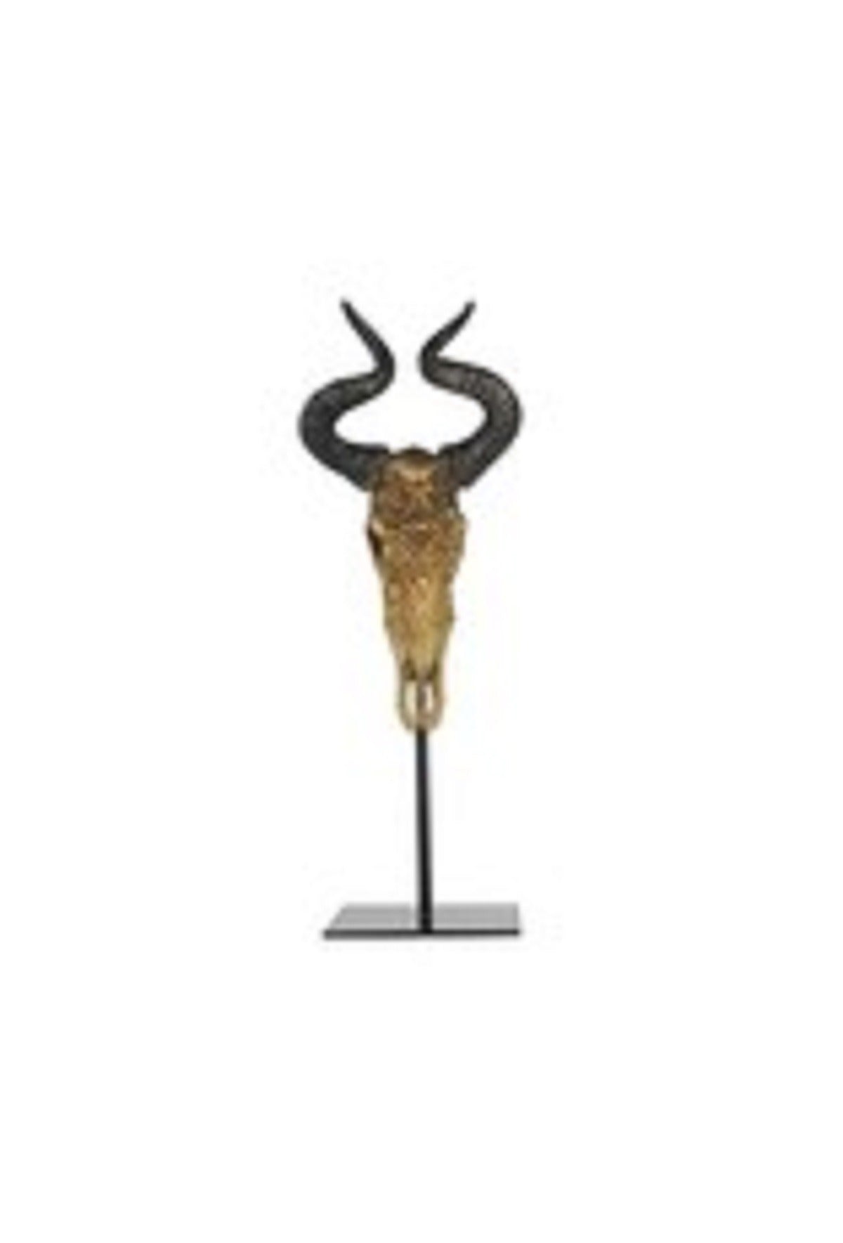FurniLux Stierenschedel Jordan - Natural Small - 14x11x39cm