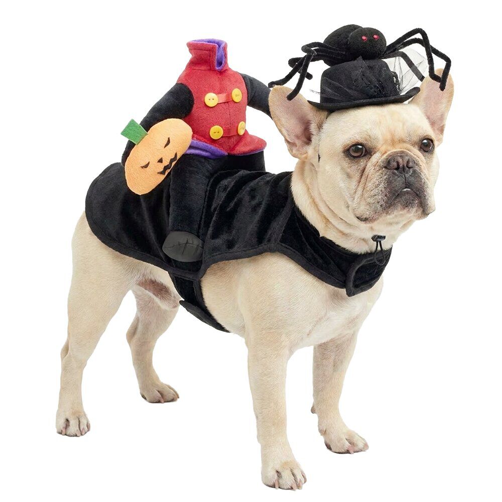 Déguisement pour animal Halloween bonhomme citrouille sans tête noir L/XL