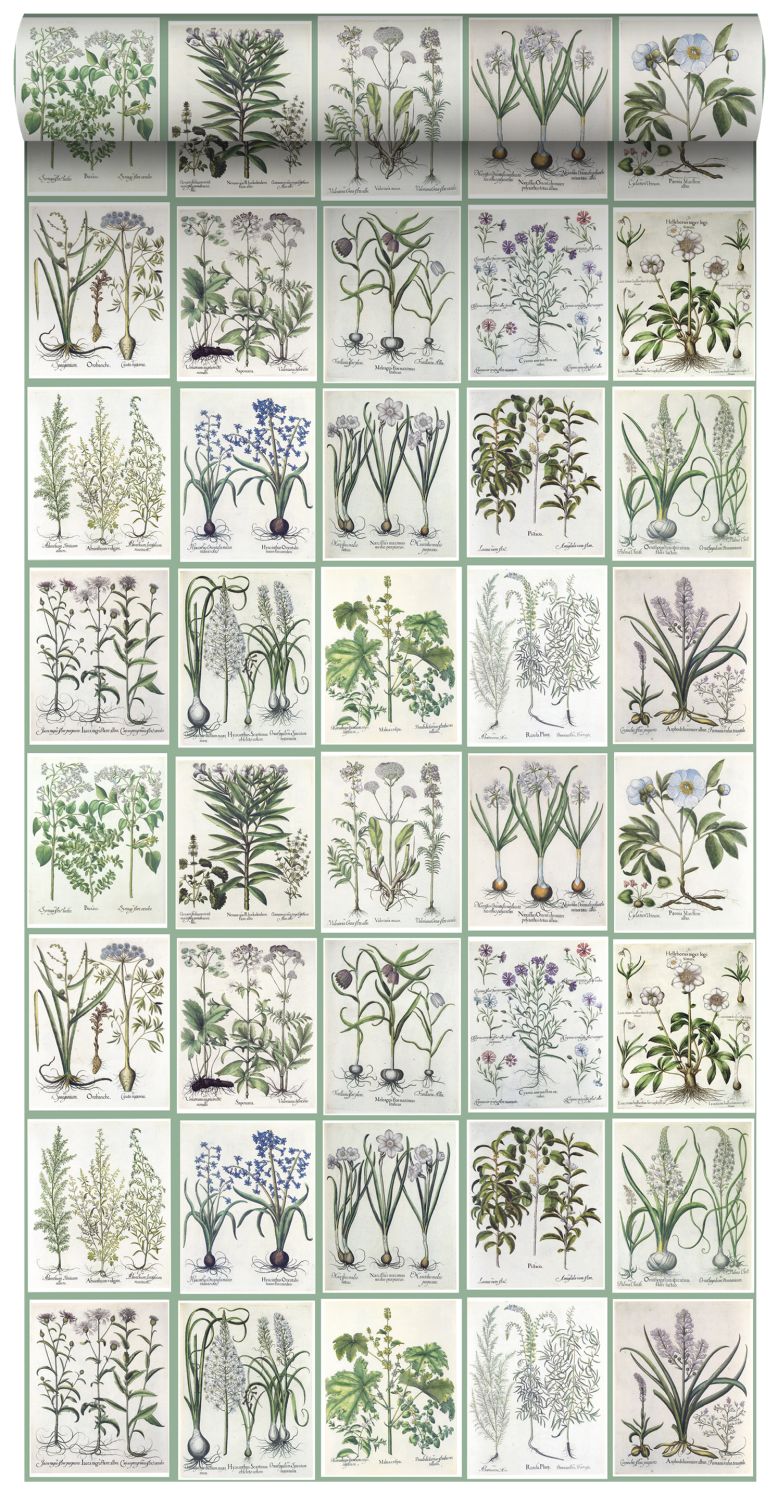 ESTAhome XXL behang bladzijden botanisch bloemen en planten boek groen 50 x 900 cm 158826