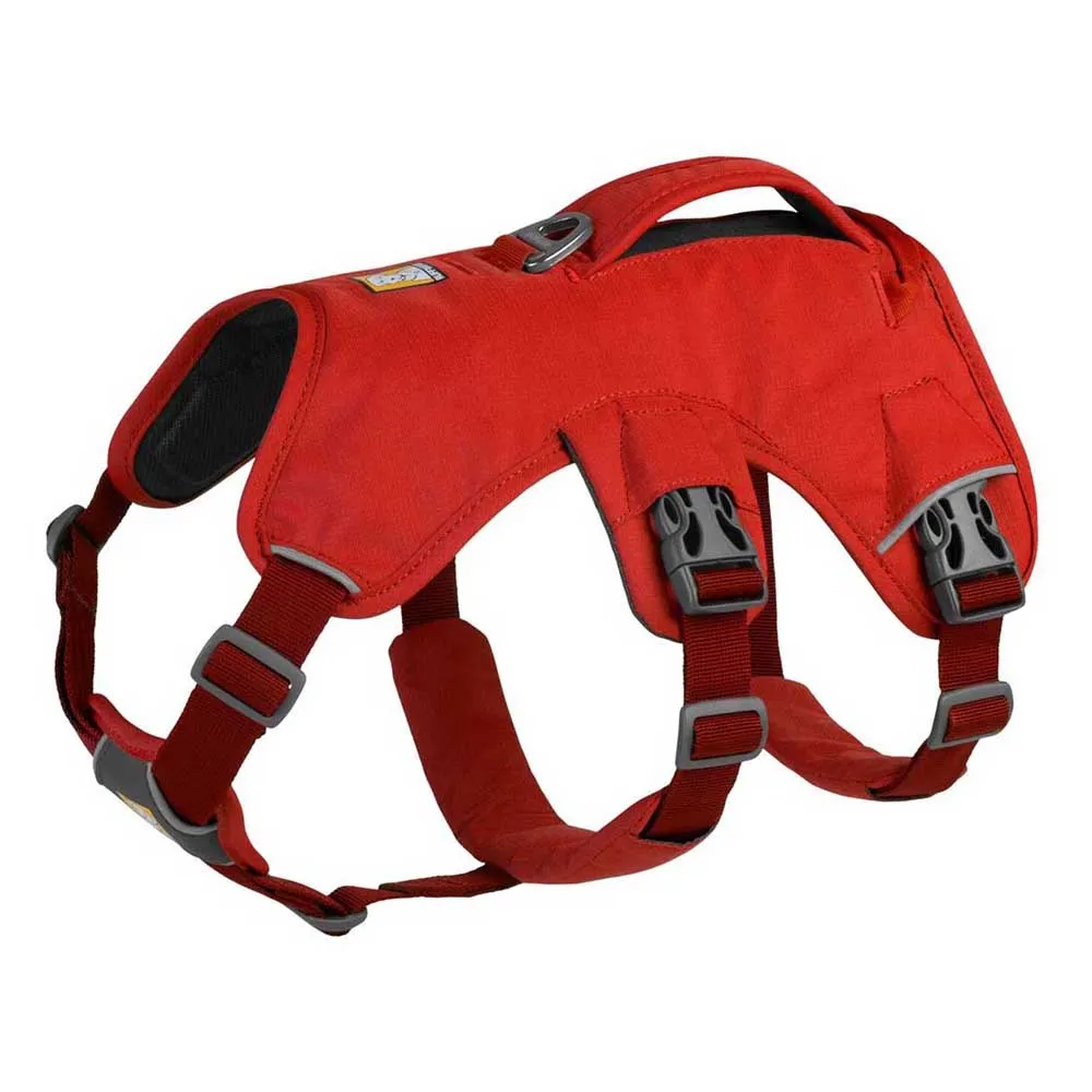 Ruffwear Web Master dog harness