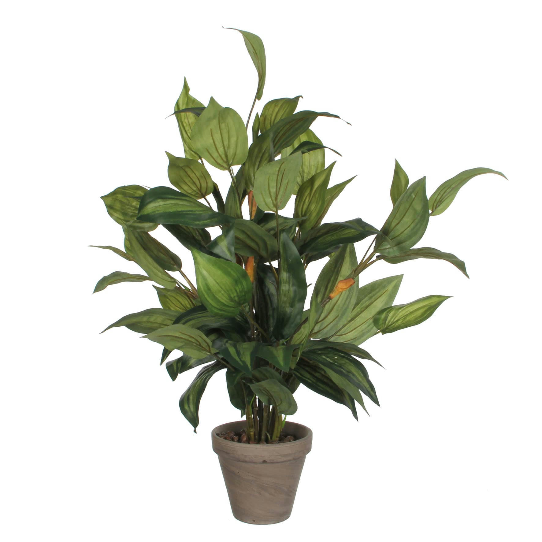 - Hosta artificielle vert en pot H65