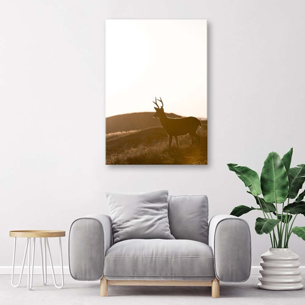 Feeby Obraz na płótnie Młody jeleń 40x60