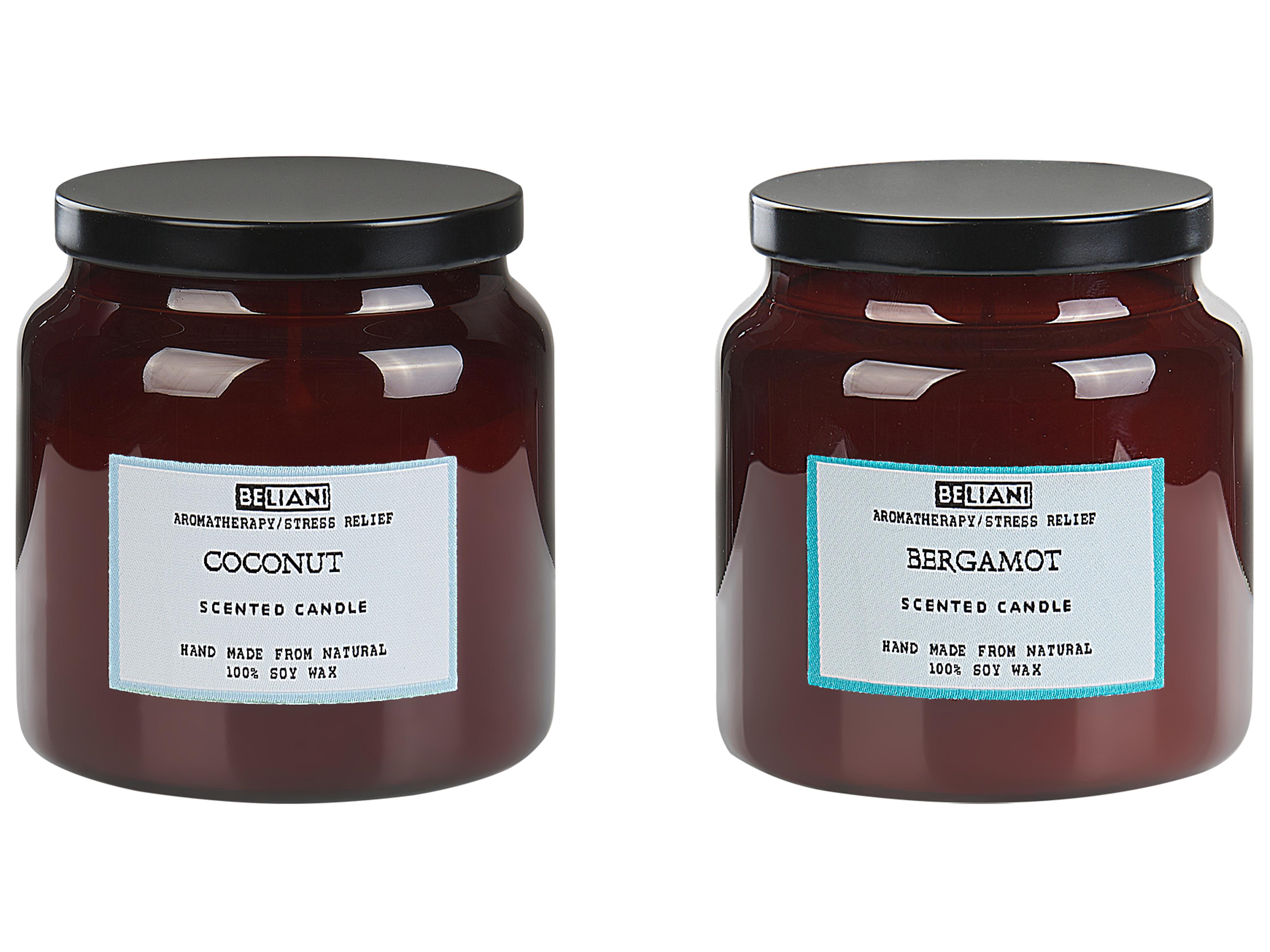 Set of 2 Scented Candles ABSOLUTE ALCHEMY Soy Wax Fresh Notes