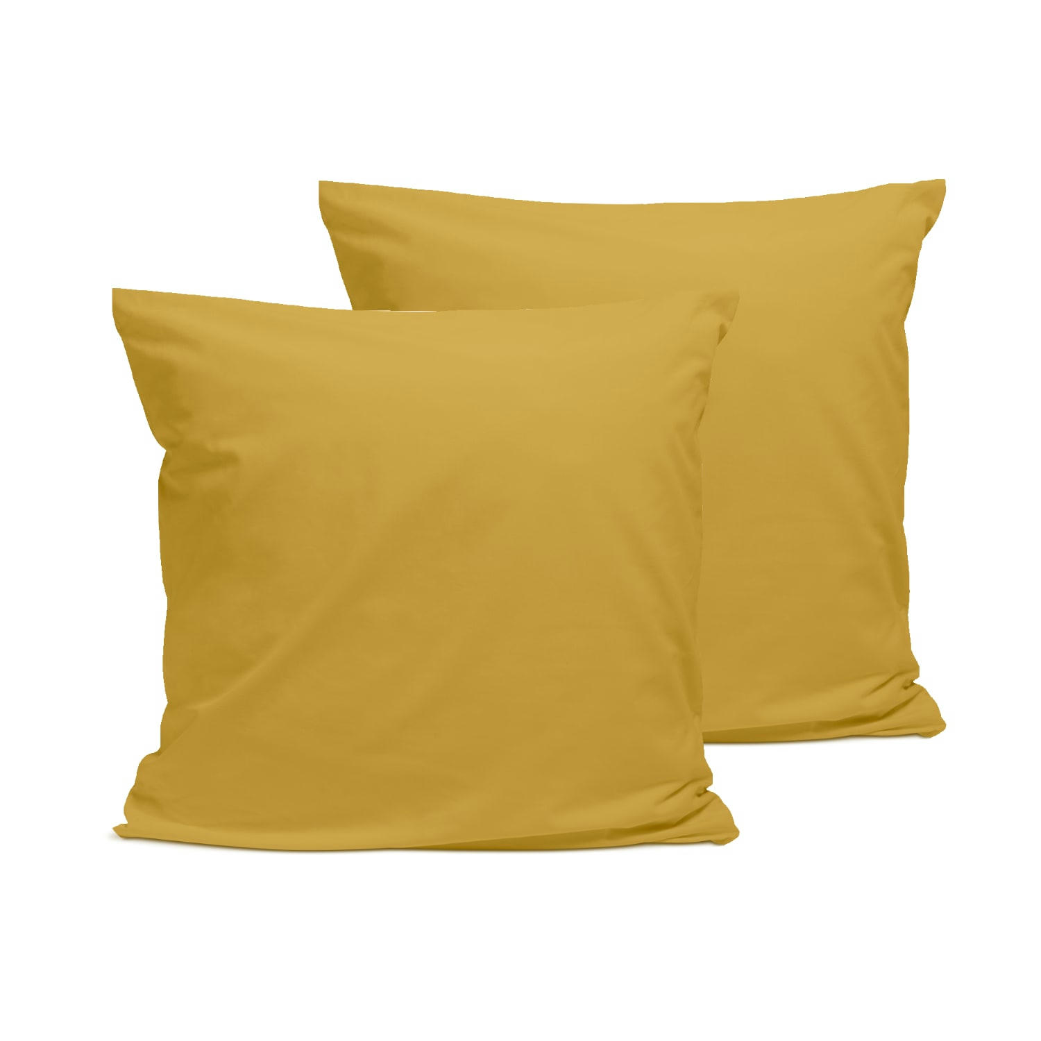 - Lot de 2 taies d'oreiller unies en percale de coton moutarde 65x65cm