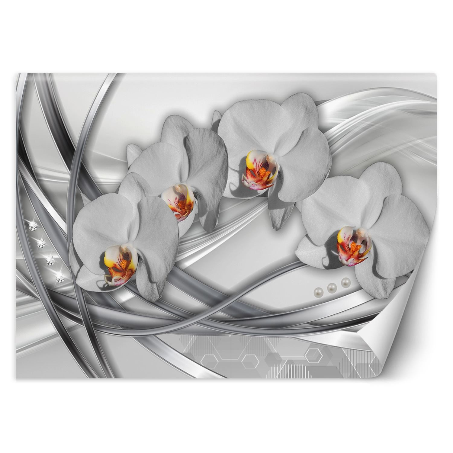 Feeby Fototapeta, Abstrakcja orchidea 150x105