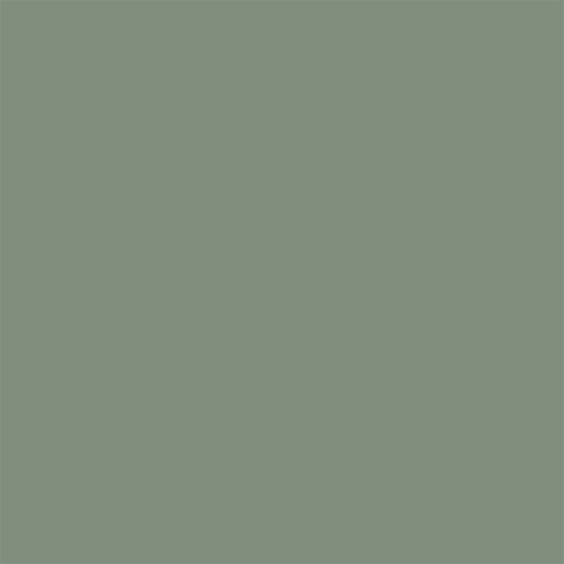 Peinture pour murs Colorissim galet vert mat 2,5 L V33