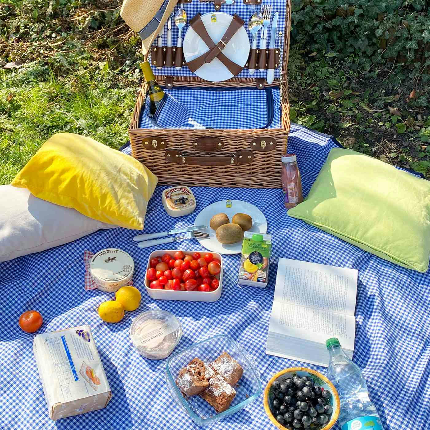 - Nappe pique-nique, vichy bleu, à revers étanche 140 x 140 cm