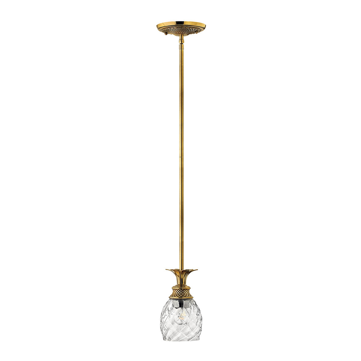 Lampa wisząca oksydowany mosiądz Plantation 1xE27x60W Hinkley