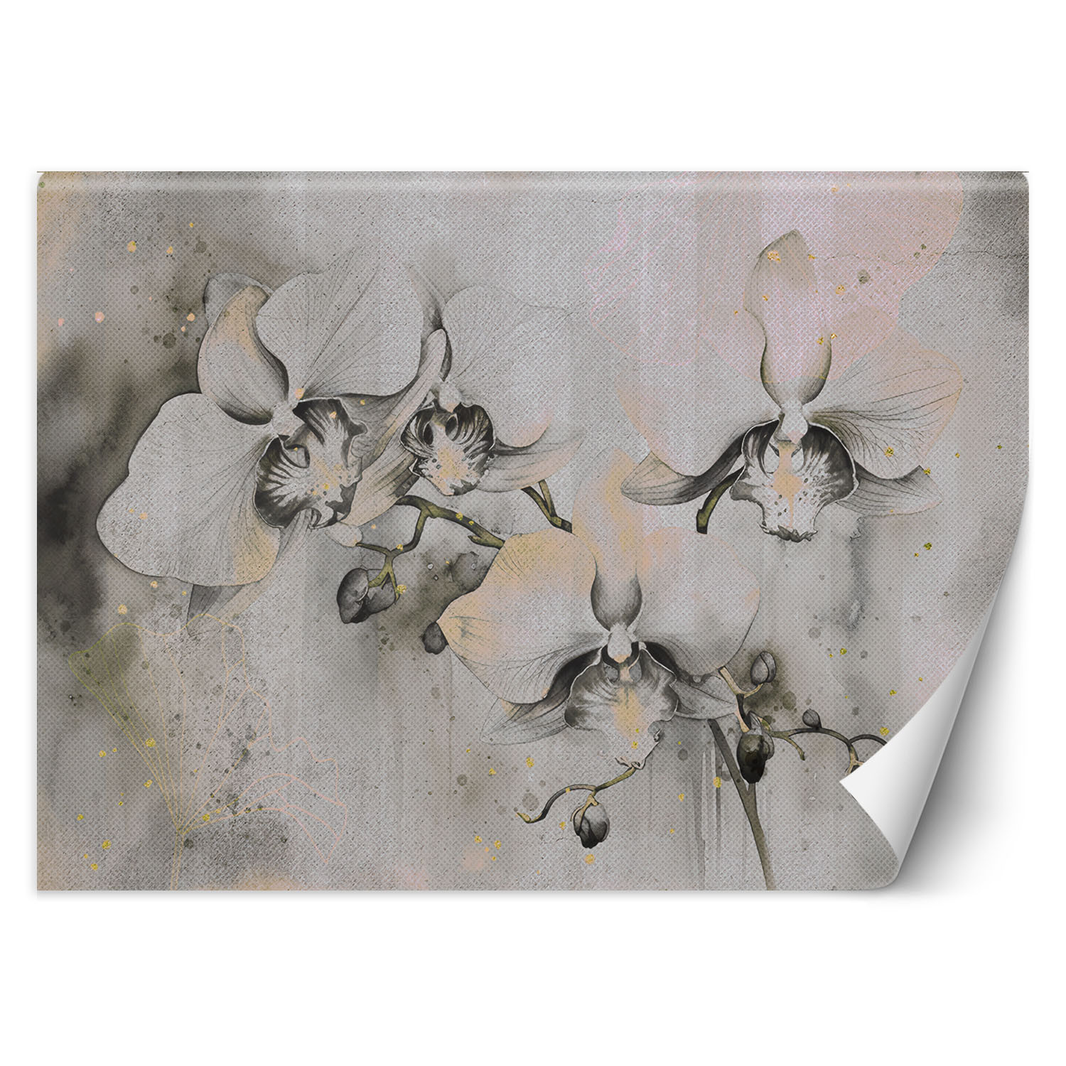 Feeby Fototapeta, Kwitnące orchidee abstrakcja 150x105