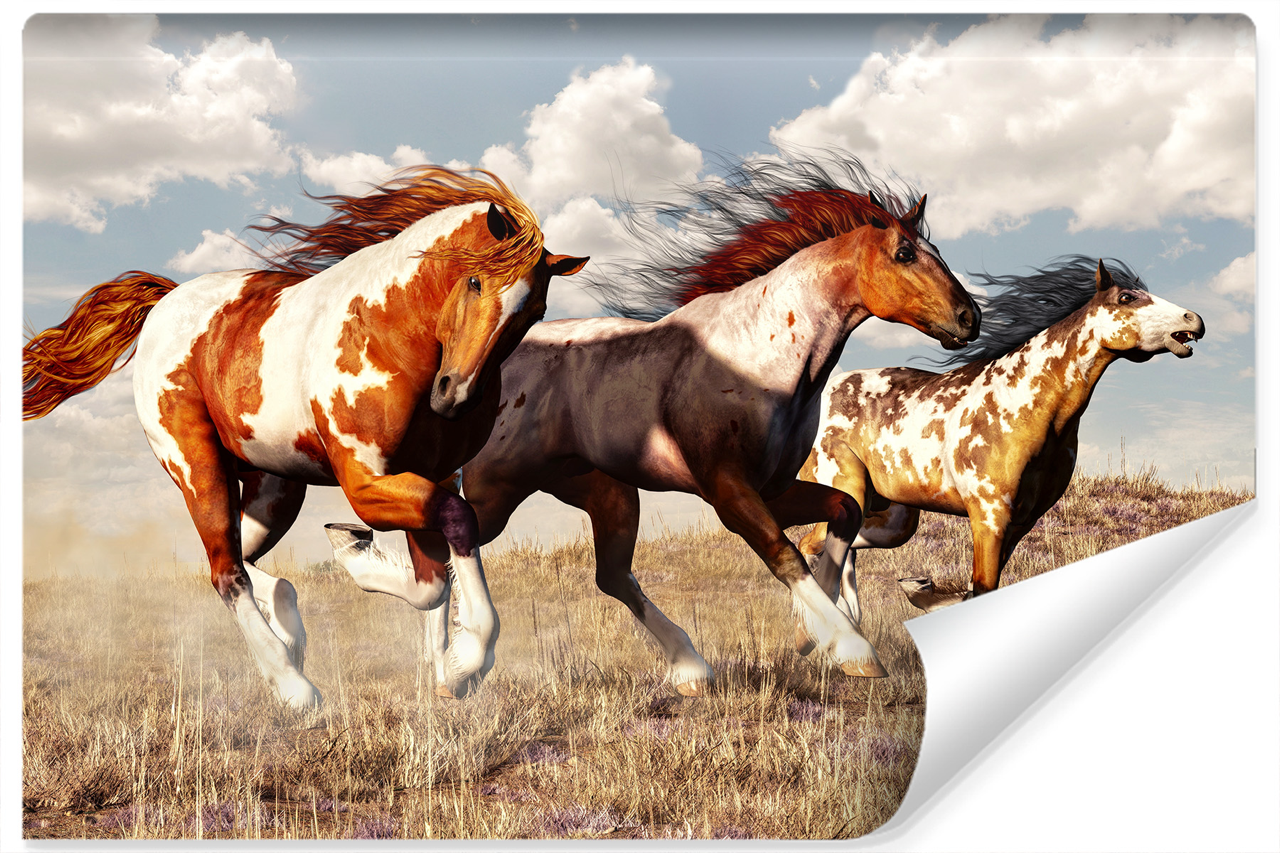 Fototapeta Dziki Zachód KONIE W Galopie 3D 90x60cm
