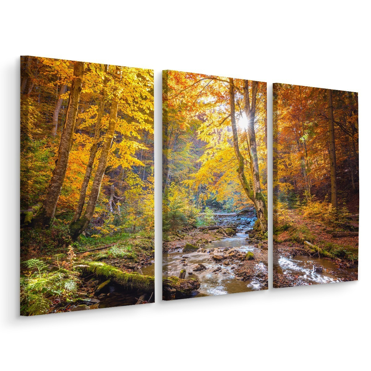 Obraz TRYPTYK Las Jesienią Natura Widok 3D 60x40cm