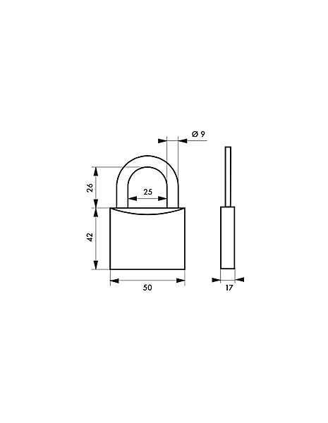 Cadenas à clé Type 1, laiton, extérieur, anse acier, 50mm, 2 clés - THIRARD