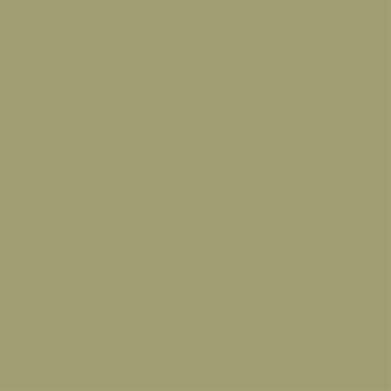 Peinture pour murs Colorissim fève de haricot vert mat 2,5 L V33