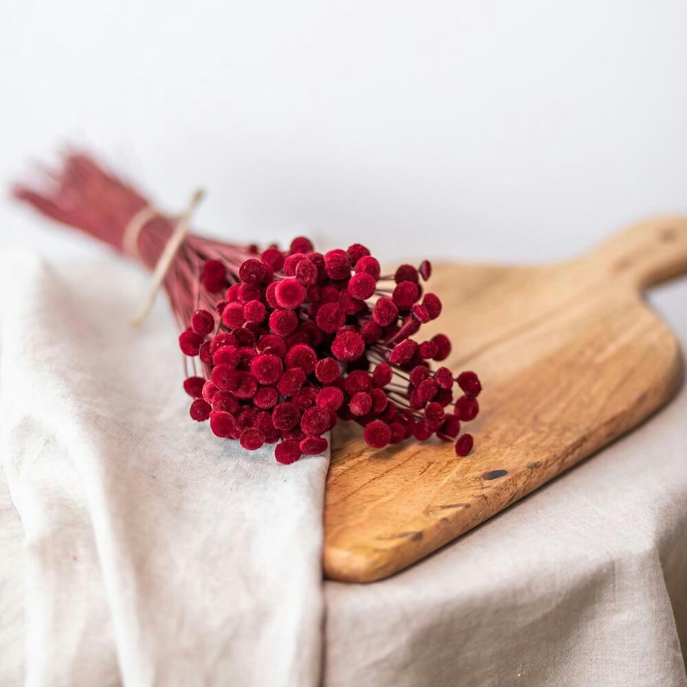 - Botte botao bordeaux