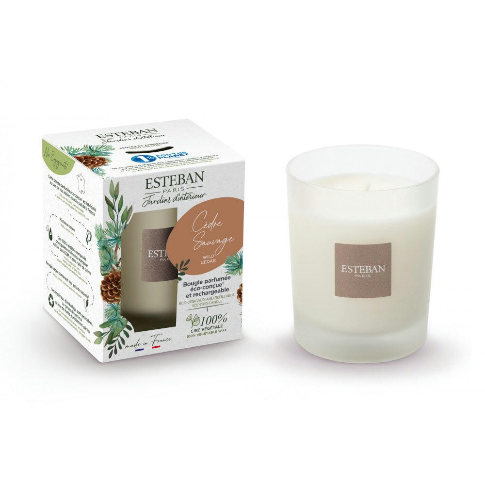CÈDRE SAUVAGE - Bougie parfumée rechargeable 180g