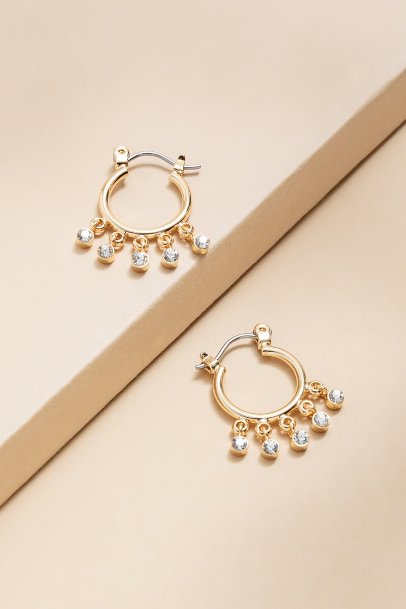 Carol Shaky Bezel Charm Hoop Earrings