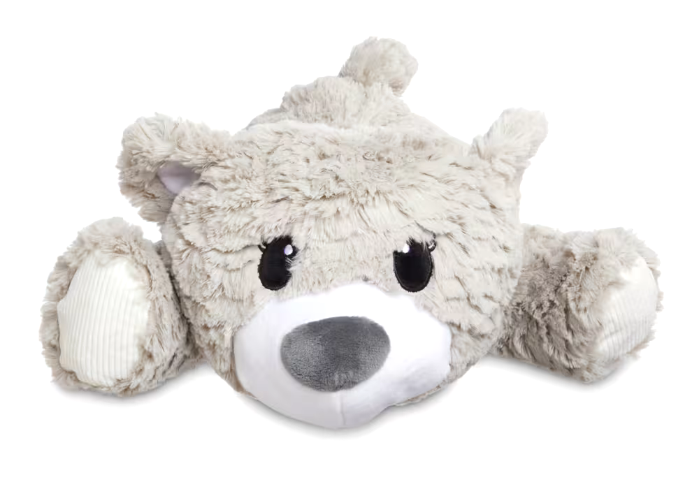 Petco Assorted Squeak Plush Snuggles Bear Dog Toy 21