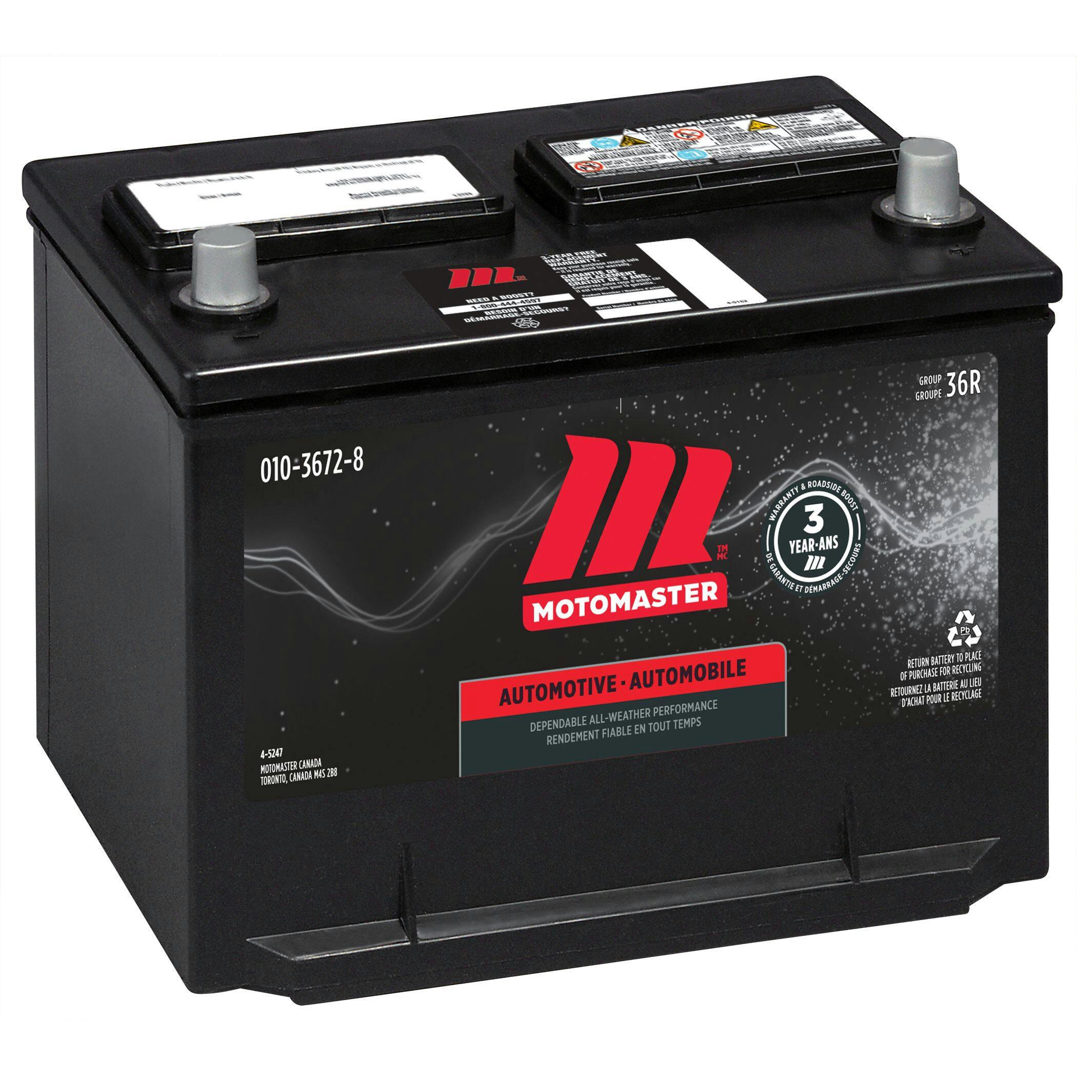 MOTOMASTER Group Size 36R Battery, 650 CCA