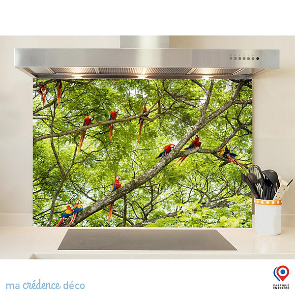 Crédence cuisine fond de hotte Perroquets,-Costa- Lrica x H Verre trempé - MaCrédenceDéco