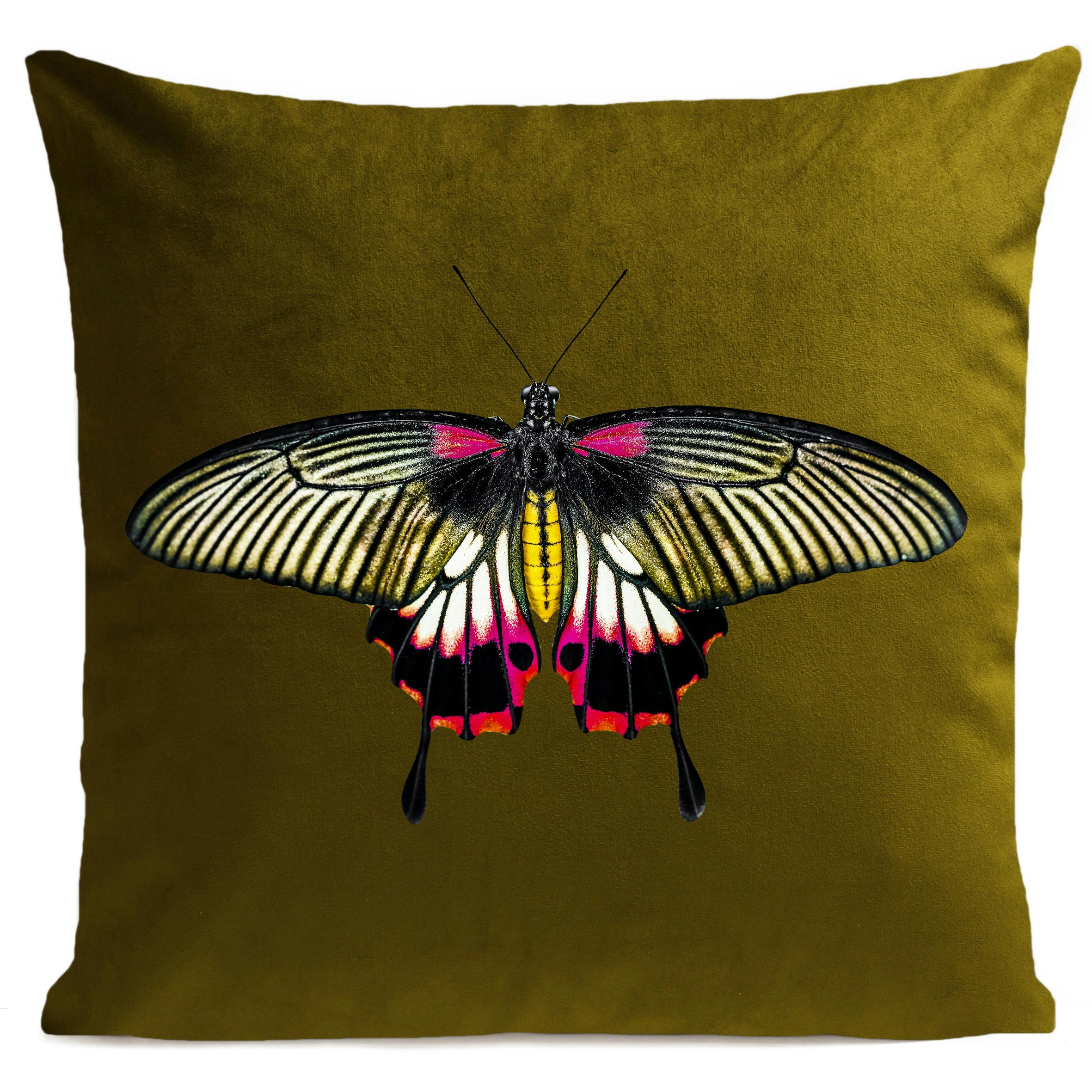 - Coussin papillon insecte suédine vert 40x40cm