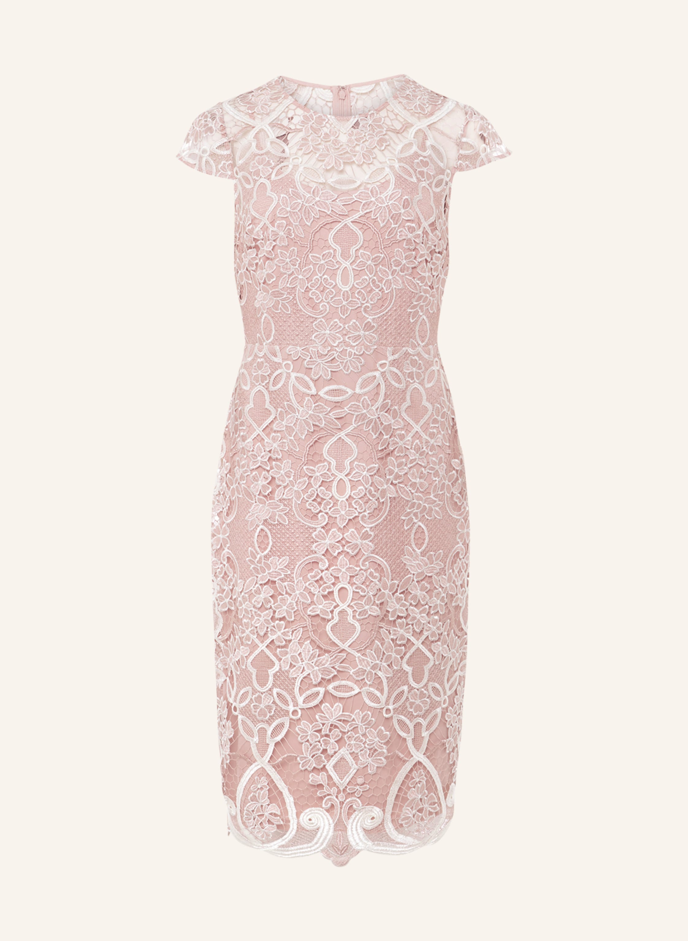 Phase Eight Spitzenkleid FRANCIS