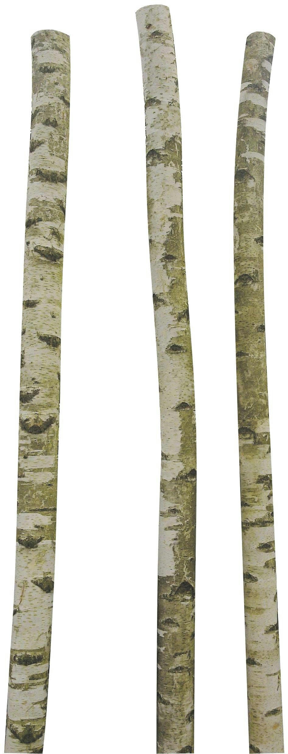 - Troncs de bouleau décoratifs (lot de 3)