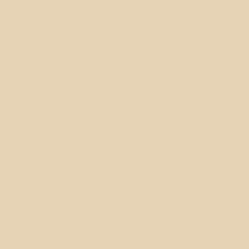 Peinture multisupports Déco coquille d'oeuf mat 0,4 L INVENTIV
