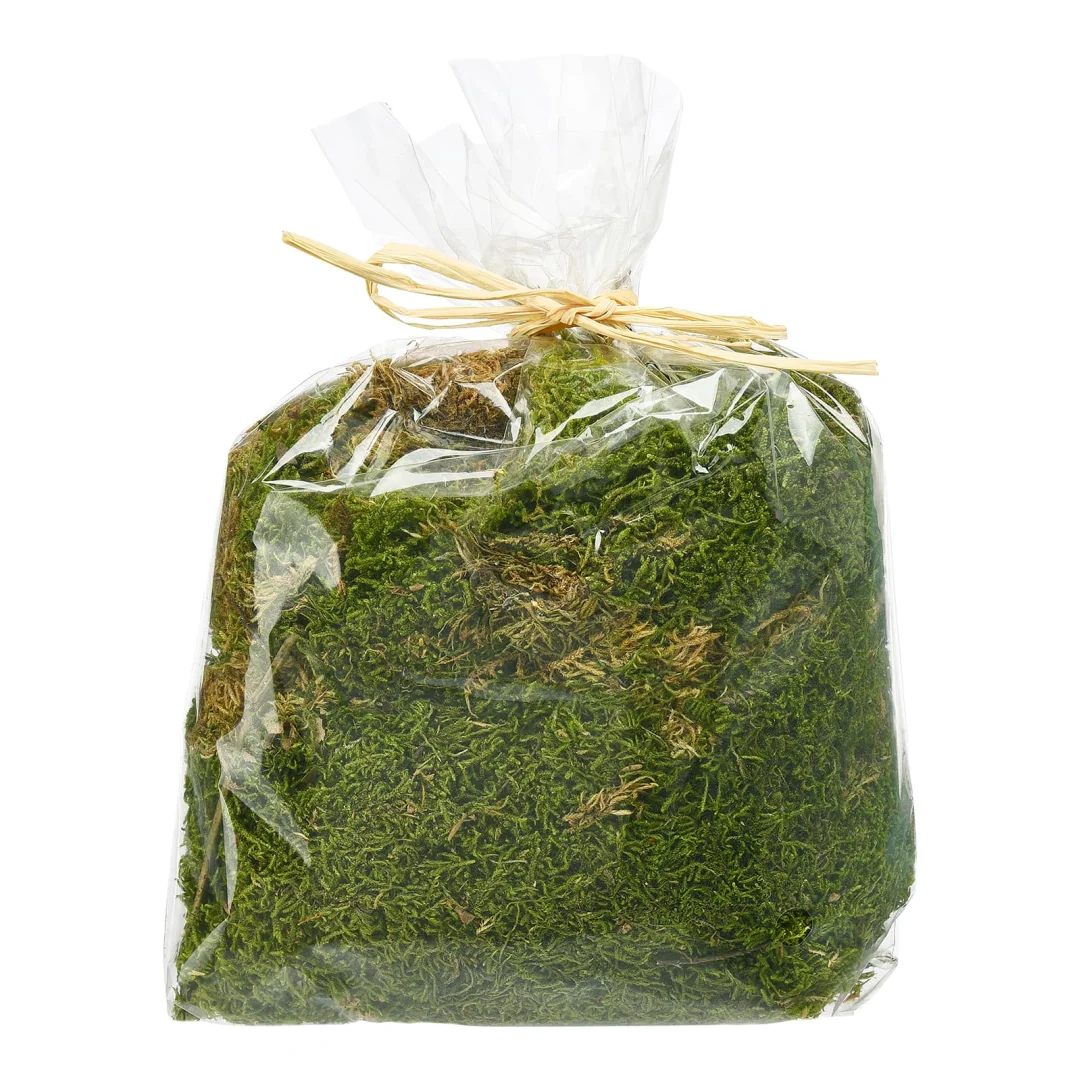 Deko-Lappenmoos Grün, 0,05 kg
