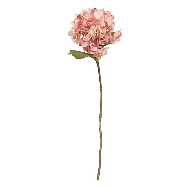 Fleur artificielle Fria H62cm- Beige- Atmosphera