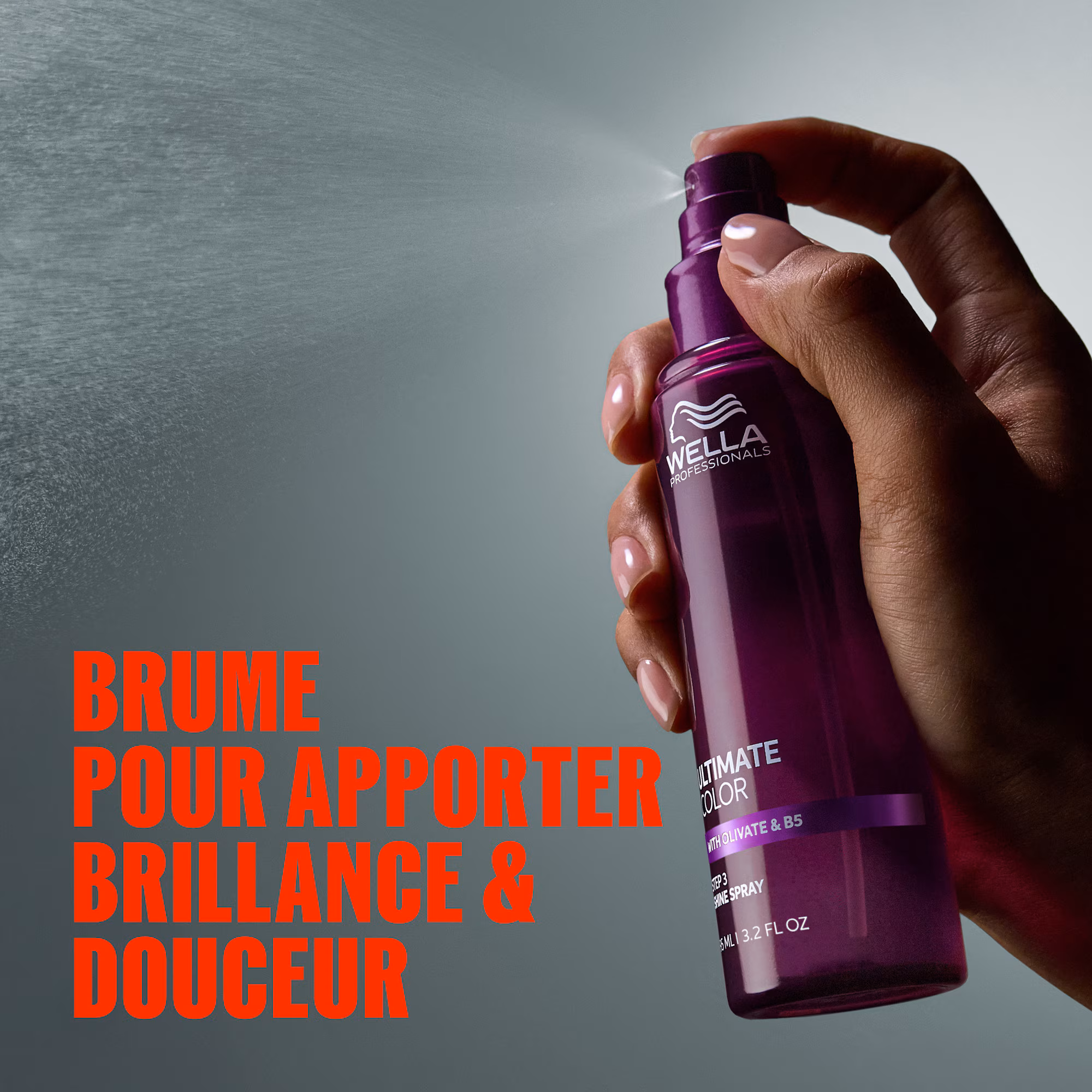 ULTIMATE COLORSpray brillance