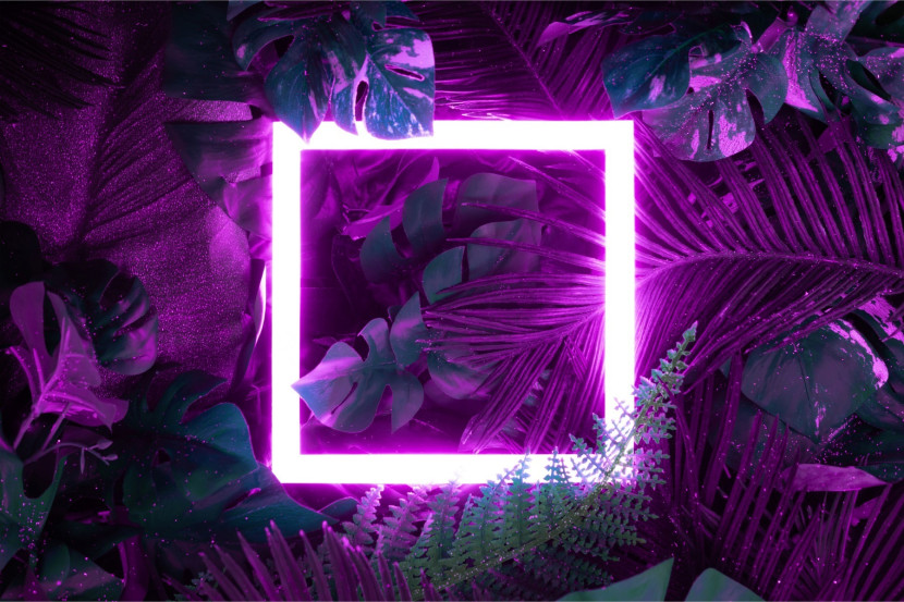 Fototapeta Ścienna Neonowy KWADRAT Liście 90x60cm