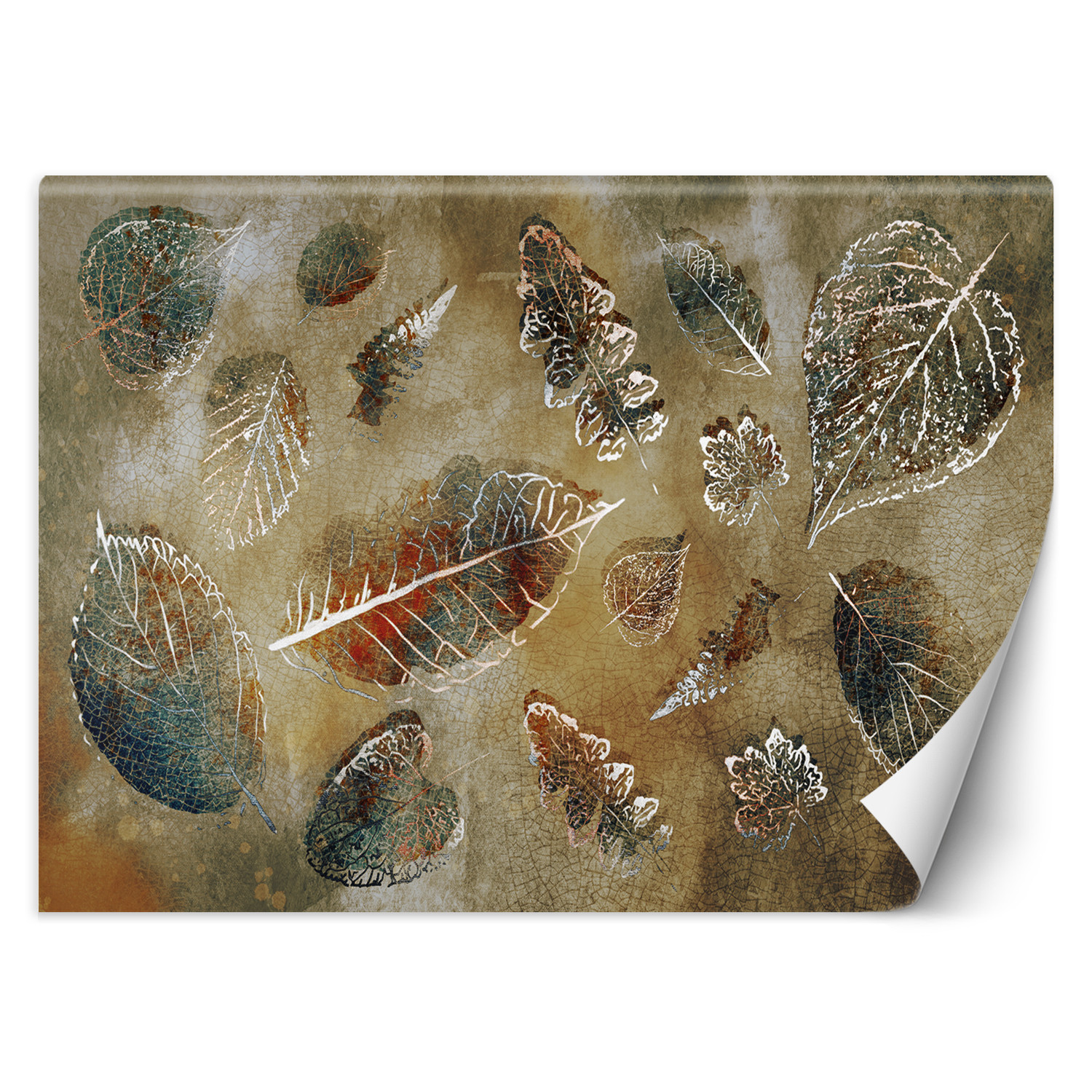 Feeby Fototapeta, Liście w stylu vintage 150x105