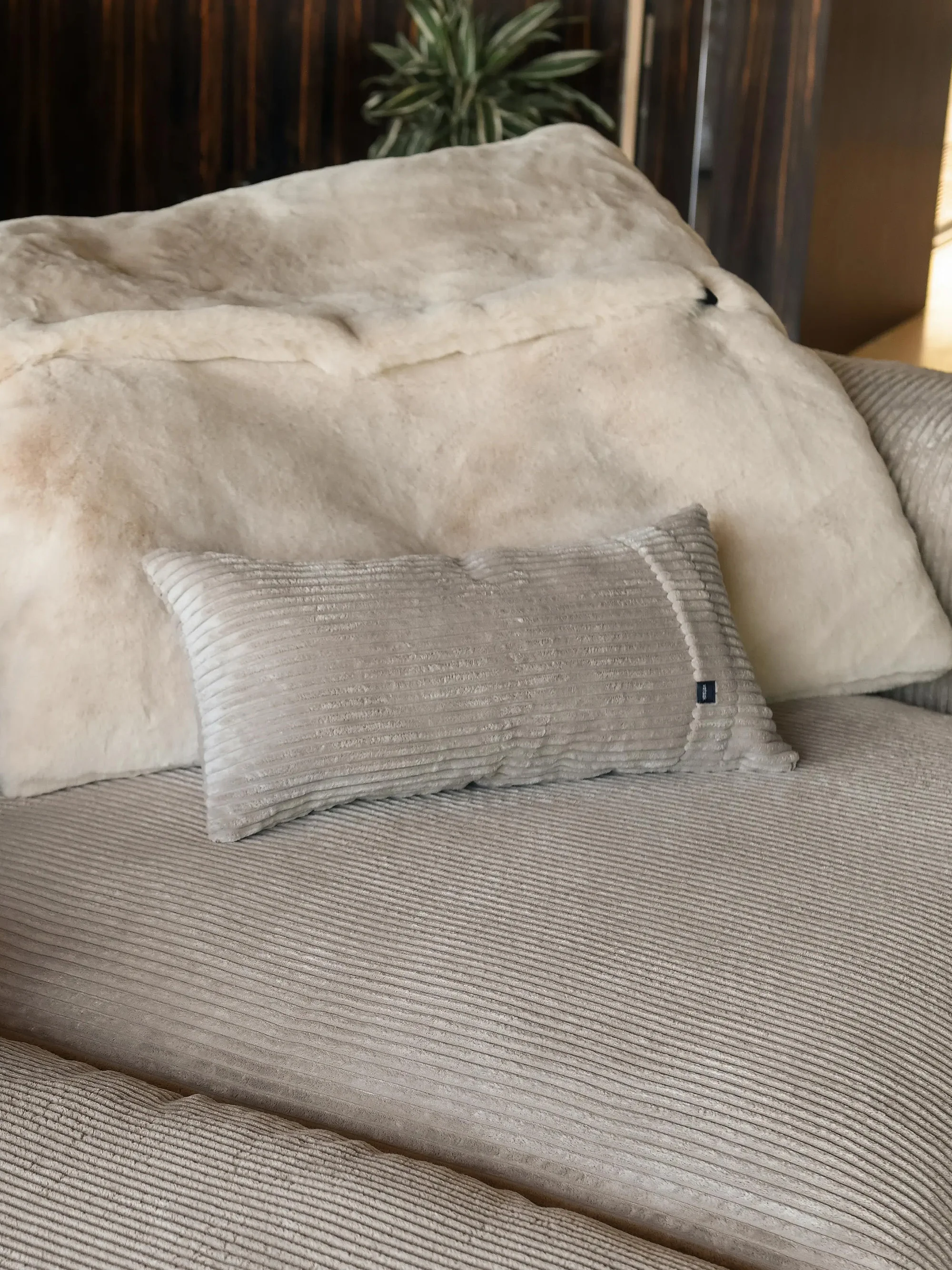 Cord-Sofa-Kissen Vetsak, 30 x 60 cm