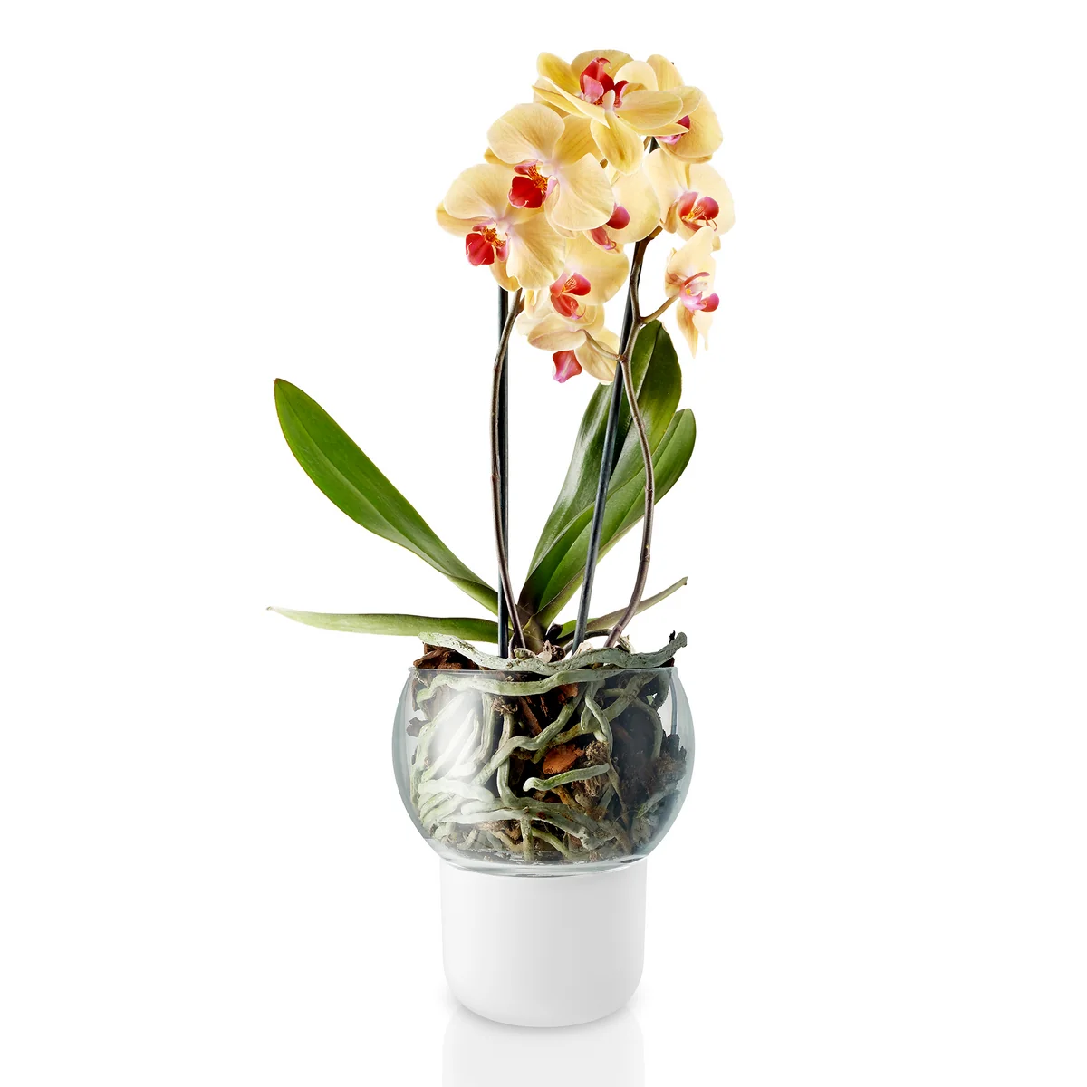 Eva Solo - Selbstbewässernder Orchideentopf, Ø 15 cm