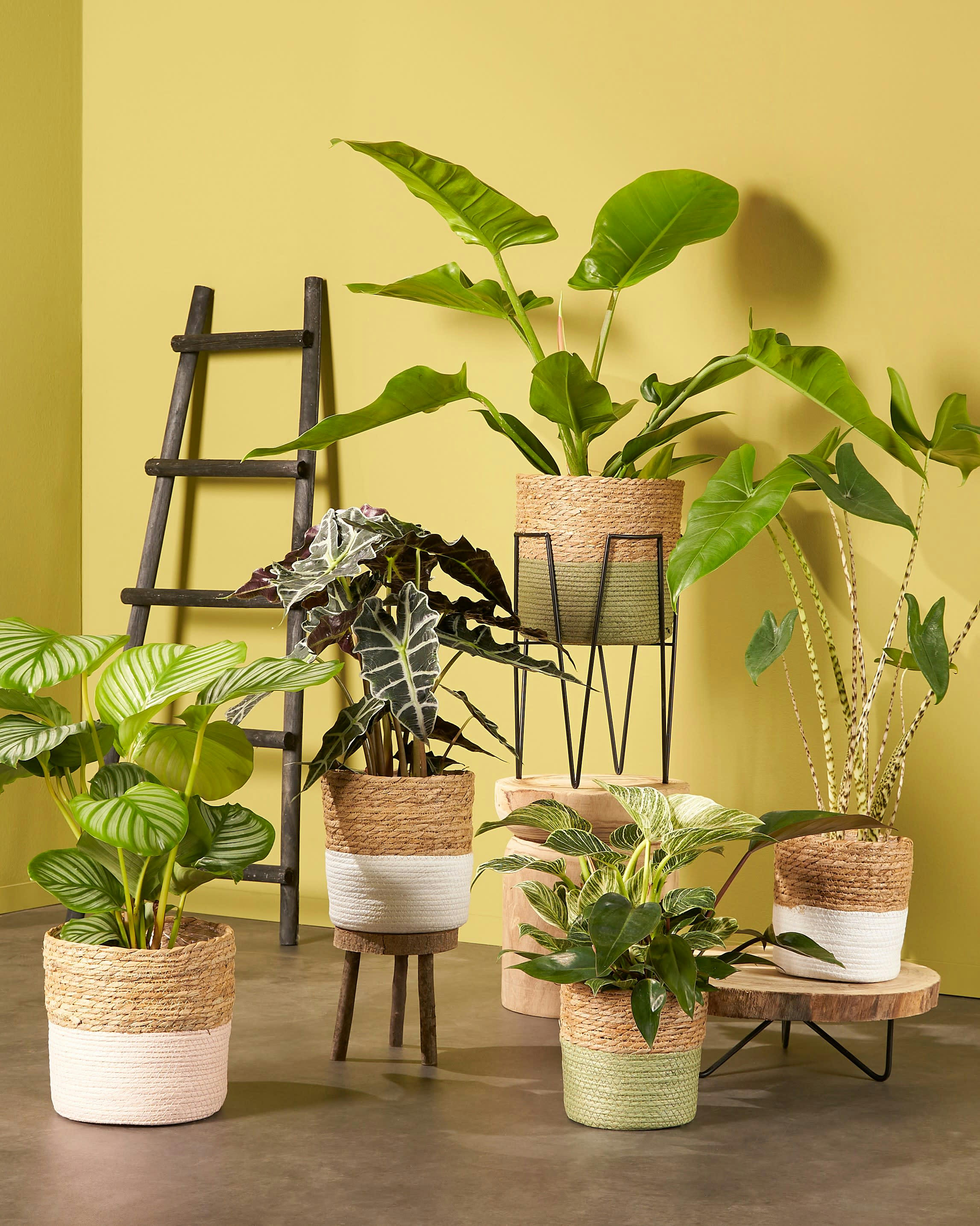 PIA - Table d'appoint tronc d'arbre en métal et bois